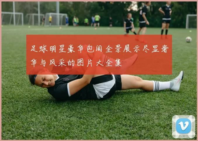 足球明星豪华包间全景展示尽显奢华与风采的图片大全集