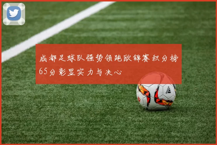 成都足球队强势领跑欧锦赛积分榜65分彰显实力与决心