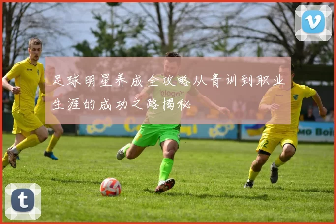 足球明星养成全攻略从青训到职业生涯的成功之路揭秘