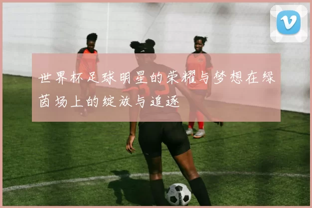 世界杯足球明星的荣耀与梦想在绿茵场上的绽放与追逐