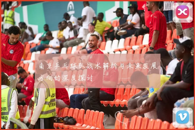 南京乒乓球队战术解析与未来发展方向的深度探讨